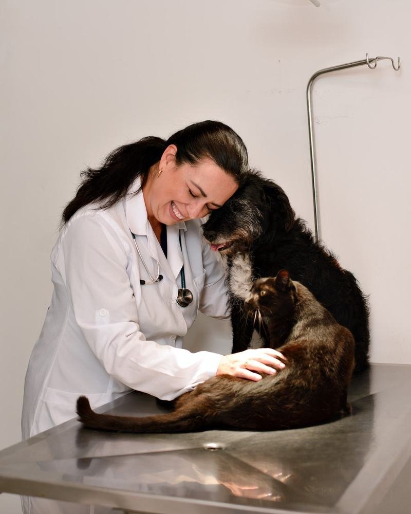 Dra. Ana Clara abraçando um cachorro, com um gato ao lado, durante o atendimento